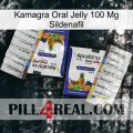 Kamagra Oral Jelly 100Mg Sildenafil 12